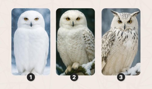 �������� ��� ���� �������� ����: ������ ��� ����������� ����������