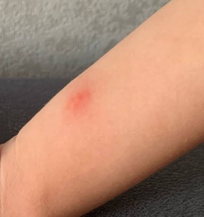 ��� ���������� � ������ ������: ������ ��� ���������� ���������