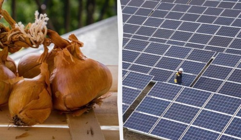 ������� ������ ����� �������� ������������� ��������� �������: �������� ������