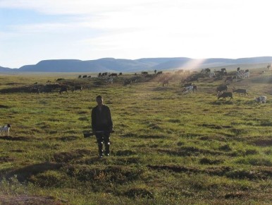 � ������������ ��� �������� ������������� ������� ���������� ��������� �� ��������� �������� ������ �������� �����