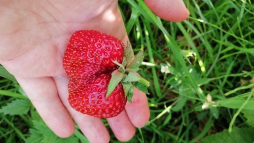 ��� ��������� ������ �������� �������� ������� ������ ��������