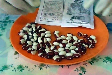 ������� ��������� ����������� ������ ���������