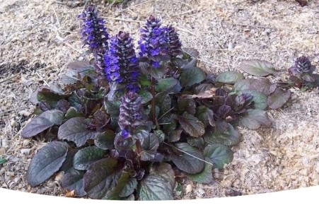 �������: ����� ������ � ������� ����