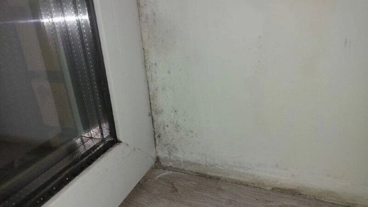 ��� �������� ���� ��� �� �������: ������ ��� ������� ���������