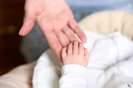 ����� ������ ����� �� ������� �������� ���������� ����������� ������