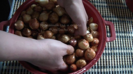 ��������� ������� ����-�����: ������� �������� ����������