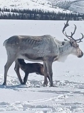 � �������������� ��������� ������� �������� ����� ��� ����� �����