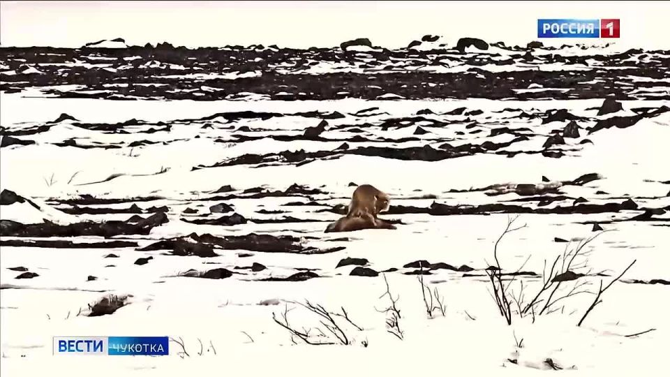 ���� �������� � ������������ �������