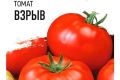 Томат Взрыв: почему он стоит в центре внимания огородников и как его правильно растить?