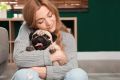 Шесть нежных собак, идеальных для семьи: что думают ветеринары
