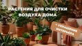 ��� ������� ��������� �������� �������� ������ � ����� ����