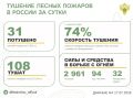 За прошедшие сутки в 15 регионах России потушили 31 лесной пожар