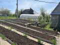 Как бороться с медведкой: весенние секреты для огородников