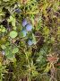 � �������� �������� �������������������� ��� � �������� ����� ����� ���� � ������