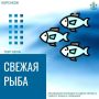 Свежее море: рыбная распродажа в городе