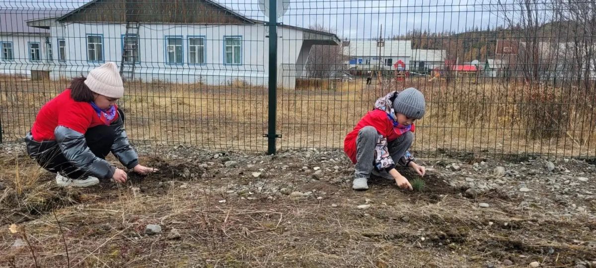 Ребята из начальной школы - детского сада села Илирней присоединились ко всероссийской акции «Сохраним лес» Ребята из начальной школы - детского сада села Илирней присоединились ко всероссийской акции «Сохраним лес»