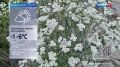 Прогноз погоды на 30 сентября