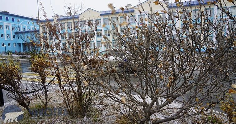 30 сентября в округе будет облачно с прояснениями, возможен снег или снег с дождем, сообщает ИА "Чукотка"