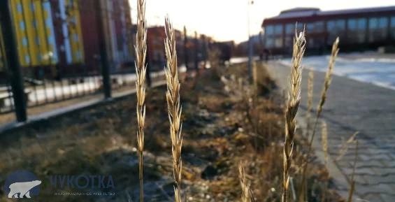16 октября, в округе будет облачно с прояснениями, небольшой снег возможен на западе, сообщает ИА "Чукотка"