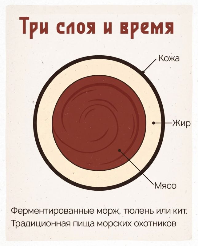 Копальхен: еда, которую нельзя попробовать из любопытства Копальхен: еда, которую нельзя попробовать из любопытства
