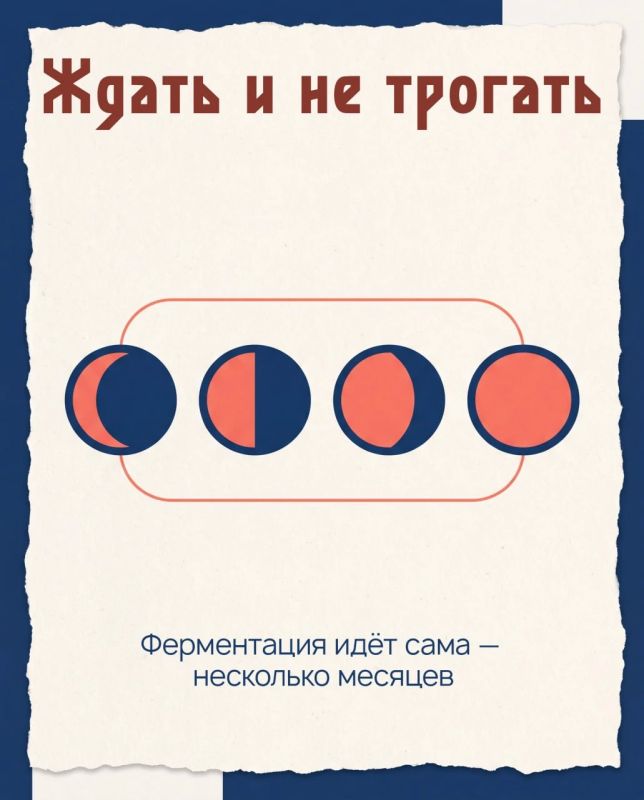 Копальхен: еда, которую нельзя попробовать из любопытства Копальхен: еда, которую нельзя попробовать из любопытства