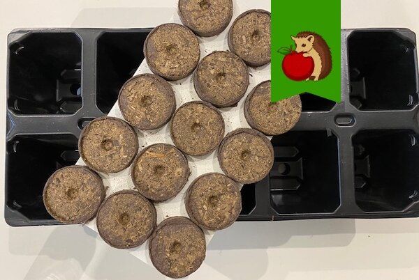 �������� ��������: 5 ���������������� ������, ������� ����� �������� ���� �������