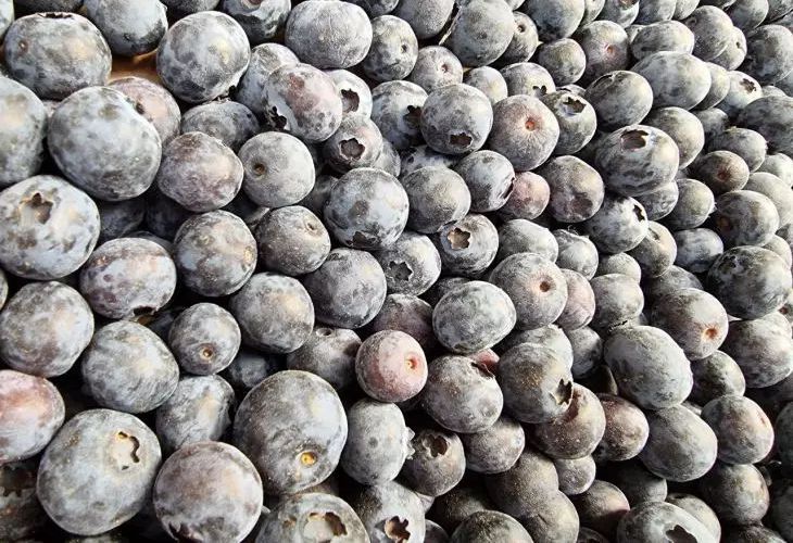 Черника и гранат: какой продукт содержит больше антиоксидантов для волос