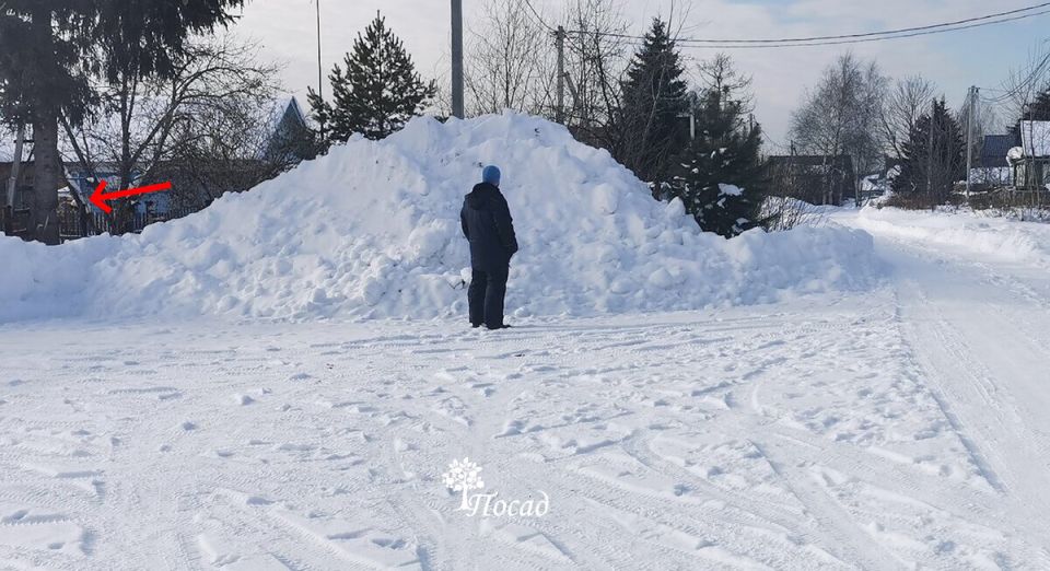 Как дачник потерял своих соседей: неожиданные последствия обиды