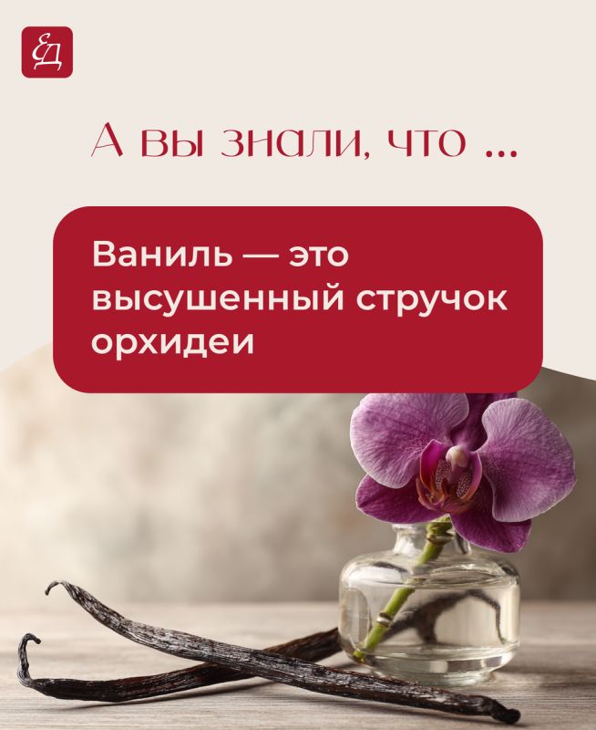 Необычные факты о привычной пище