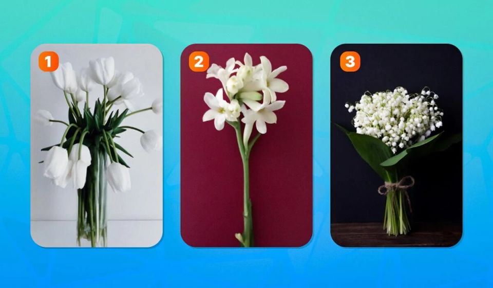 Узнайте, кем вы являетесь: консерватором или авантюристом