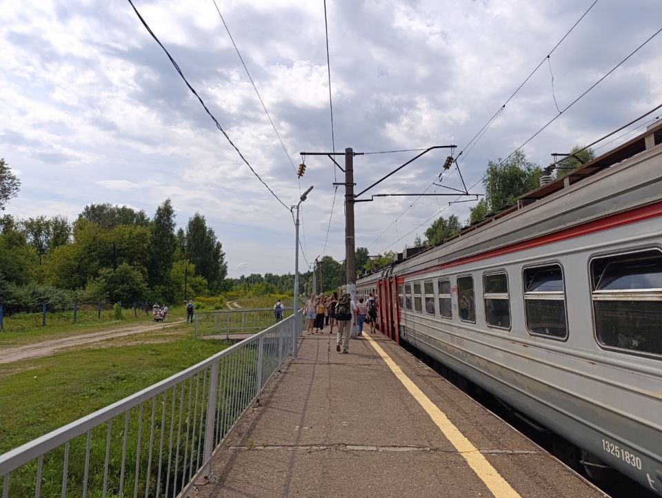 Август на даче: работы, наслаждения и новые рекорды