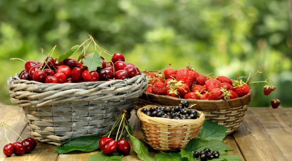 Секреты длительного хранения ягод: как сохранить свежесть и вкус на долгое время