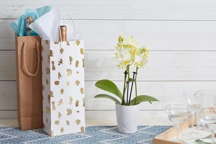 Секреты идеального гостя: что нужно знать, чтобы понравиться хозяевам