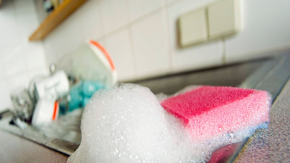 Рассадник заразы: самые неочевидные грязные места на кухне