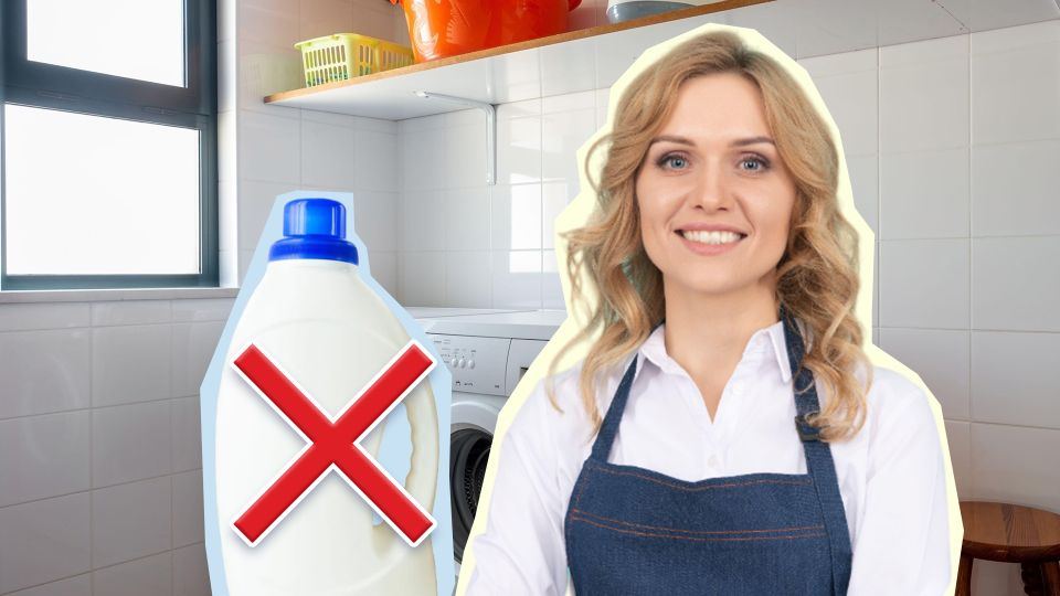 ������������ ������ ������ ���� �����: ��� ��� ������� � ������� ����������