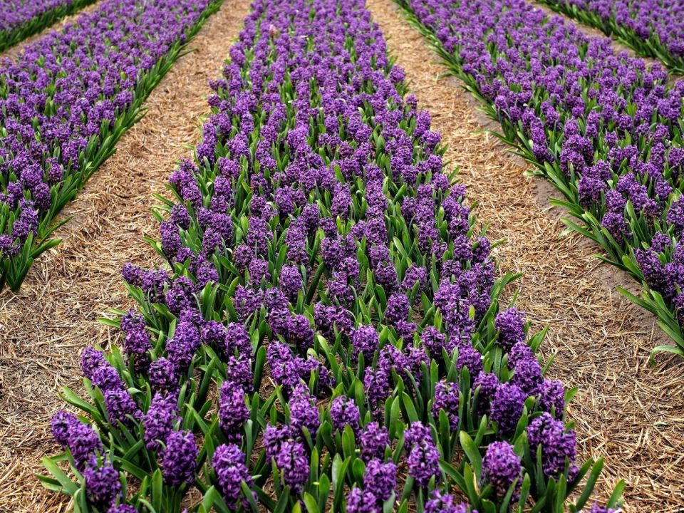 ��������: ��� ��������� �������� ��� �������� �������� ������