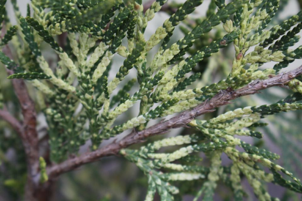 ��������� ������� ������ �� ������: ������ ������� ��� ���������