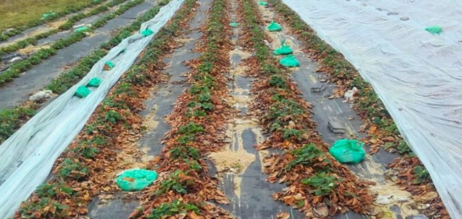 ������� ��������: ������, ������� ������� ��������� �������� � ������ ������