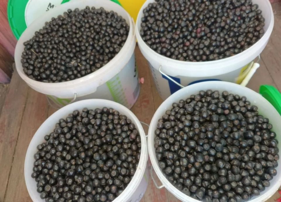 ������ ������ ����� �� ���� ��� �������� �����������?