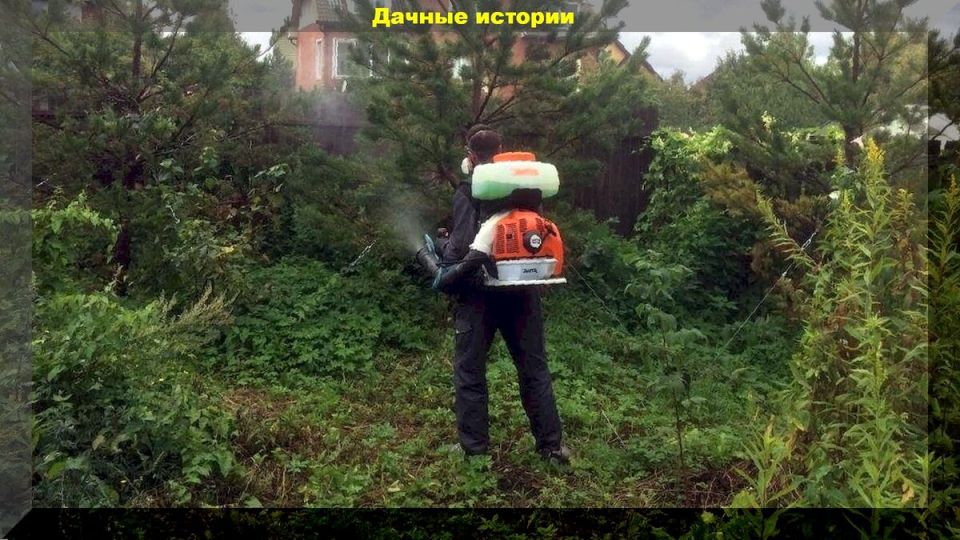 ������� ��������� ����: ��� �������� �������� �� �������� � ����������