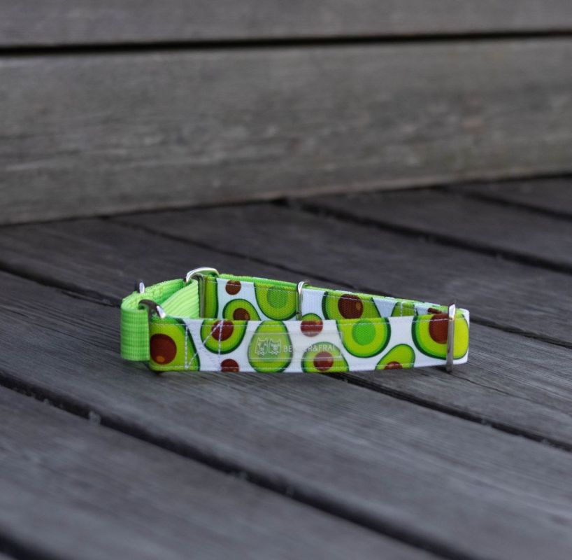 ������� �������λ: �������� ����� ������ � ���������� �������� ������ �������