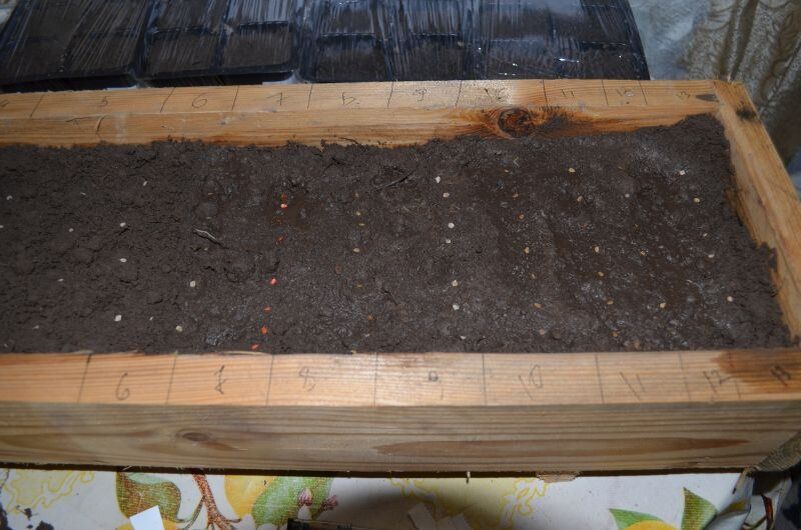 ����� � ��� ��������� ����� ������: ������ ��� �������� �������