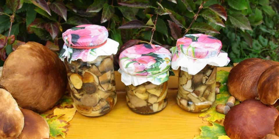 ��� ���������� �����: ������� ������� ������� �� ����