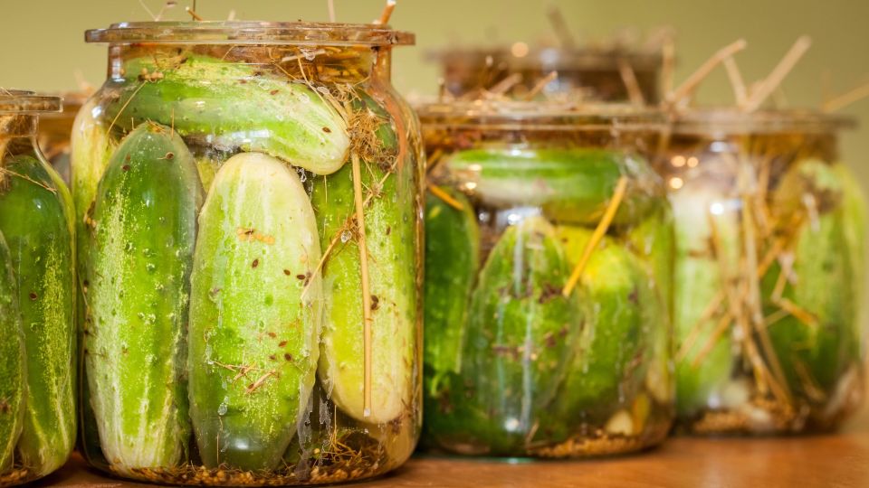 ��� ������ �� ���� �� ����� ����� ��� ������: ������ ������ �� ��������