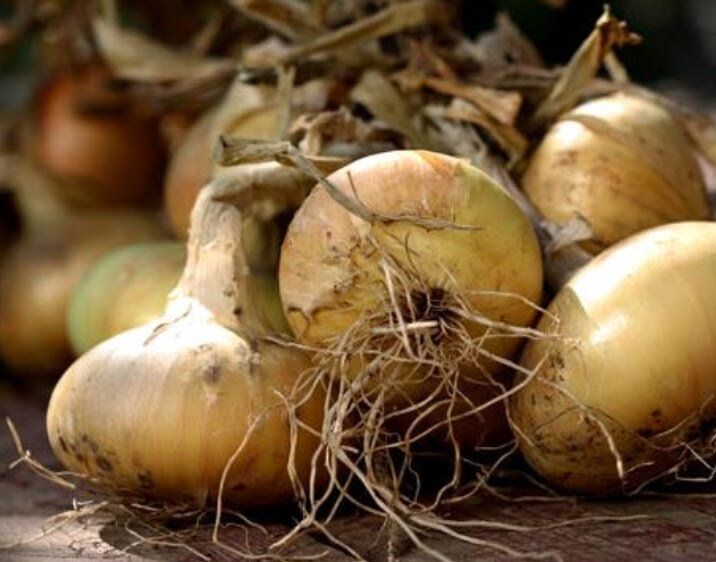 ���������� �������� ���� � ��������� ��������