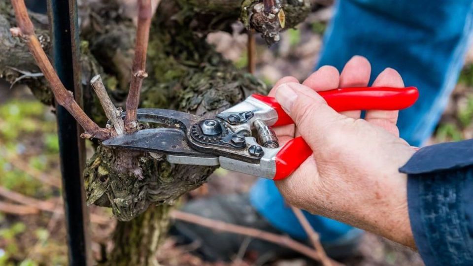 ��� �������������� �������� �������� �� ������ �������