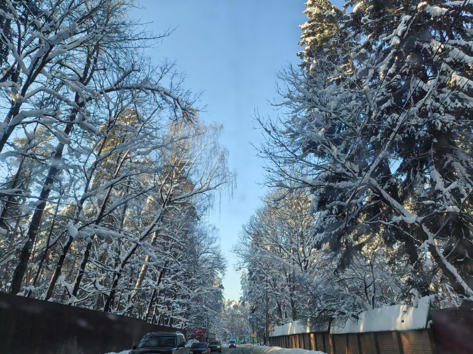 ������ �� �����: ��� ������ ������ ������ �� �����������