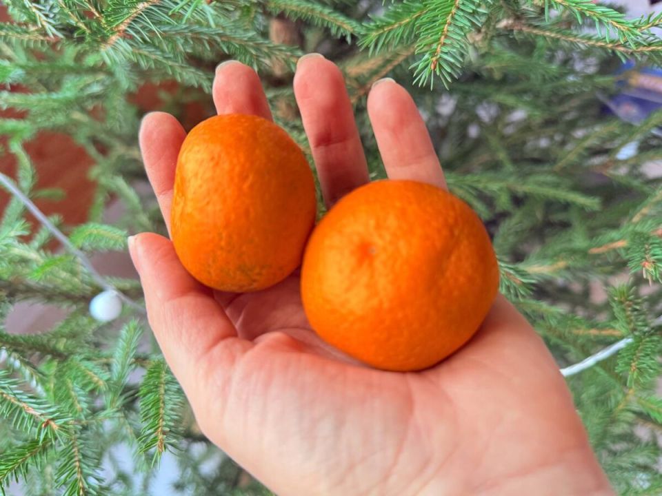 ������� ������������ ������: ��� ��� ����� ������ ������ ����