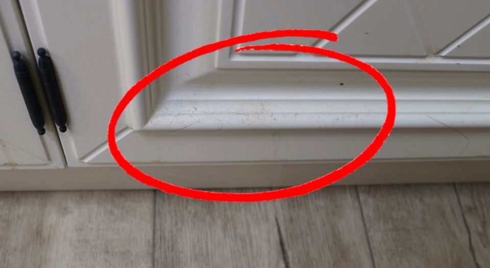 Как вернуть кухне прежний блеск за 20 минут: три простых метода, о которых стоит знать