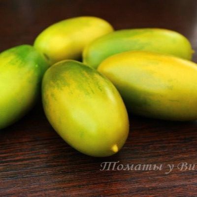 ����� ������� ��������: ���������� ���� ��� �������� ��������